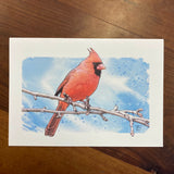 Braley Holiday Card - Cardinal