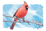 Braley Holiday Card - Cardinal