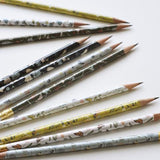 June & December Hummingbird Pencil Terrarium