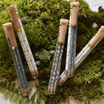 June & December Veggie Garden Pencil Terrarium